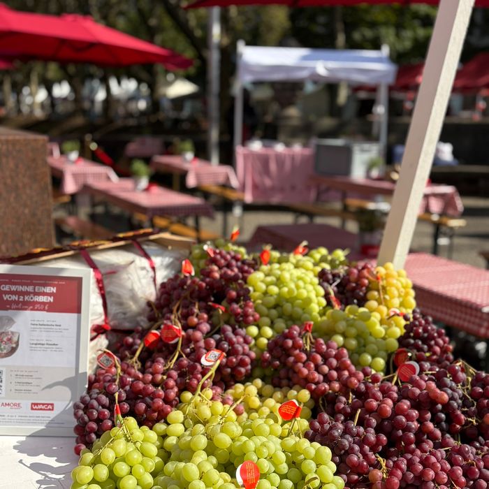Piazza Italia Gourmet Festival D&uuml;sseldorf 2026 &ndash; Rote und grüne Trauben im Licht