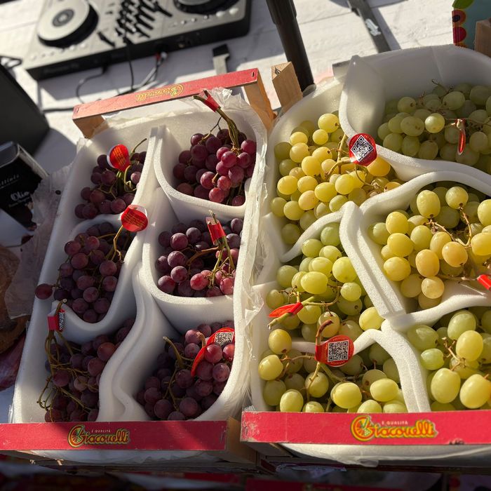 Piazza Italia Gourmet Festival D&uuml;sseldorf 2026 &ndash; Trauben aus Locorotondo