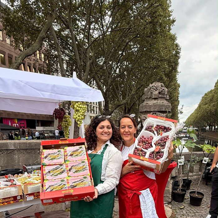 Piazza Italia Gourmet Festival D&uuml;sseldorf 2026 &ndash; Impression 97